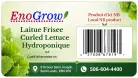 Laitue frisé hydroponique