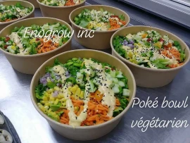 Poke Bowl légumes